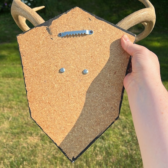 Vintage 8 Point Whitetail Deer Buck Antlers Green Velvet Wall Mount Plaque - Picture 8 of 12